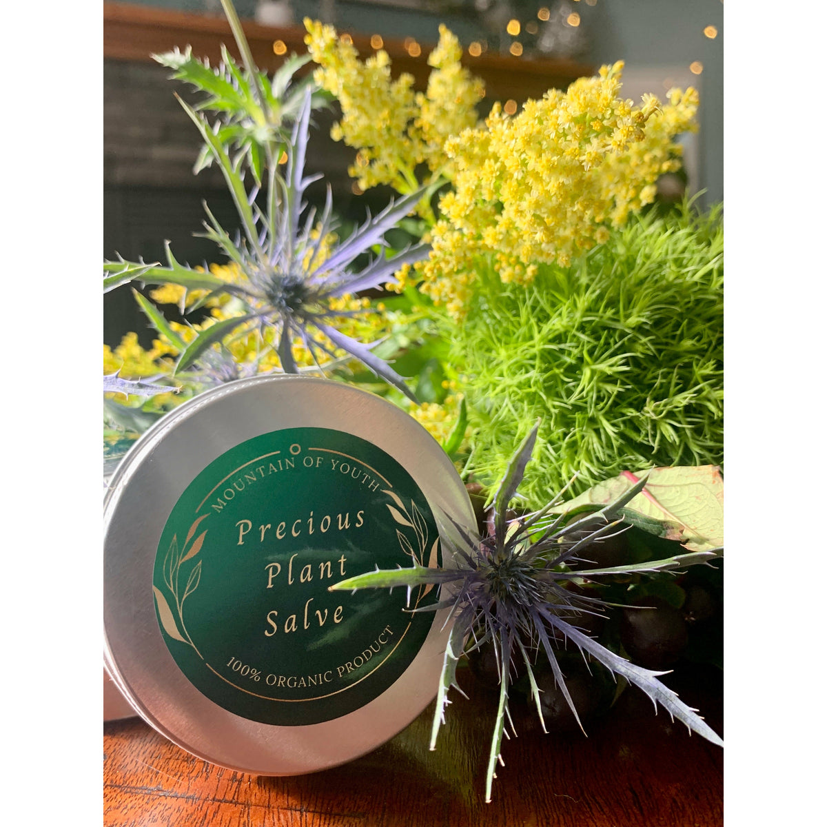 Precious Plant Salve