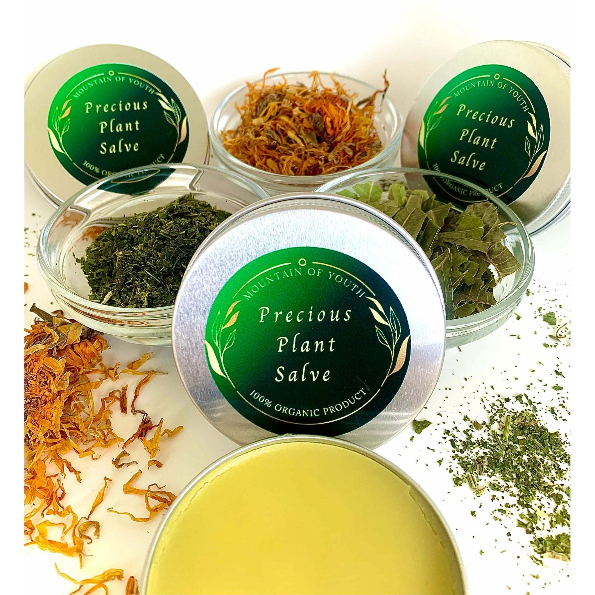 Precious Plant Salve